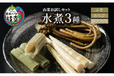 山菜お試しセット 水煮3種（フキ・ワラビ・タケノコ）【オホーツク枝幸】