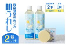 豊富温泉 濃縮温泉水 サロベツ大地恵泉 (500ml×2本) ＆ 肌うれし石けん (約80g×1個) セット