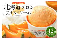とよとみ牛乳 北海道メロンアイスクリーム 110ml×12個					