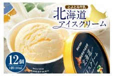 とよとみ牛乳 北海道アイスクリーム バニラ 110ml×12個