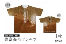 豊富温泉 Tシャツ