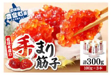 佐藤水産 手まり筋子100g×3本入【KAT-300】