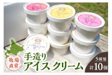 牧場直営 手造りアイスクリーム 80ml 5種類 計10個