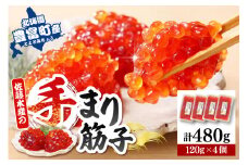 佐藤水産 手まり筋子120g×4個セット 合計480g【KAT-305】
