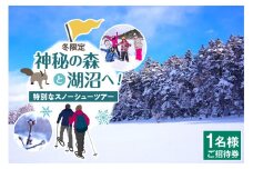 神秘の森と湖沼へ！特別なスノーシューツアー