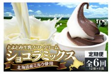【6か月定期便】とよとみ牛乳ソフトクリーム【ショコラミックス 120ml×12個】
