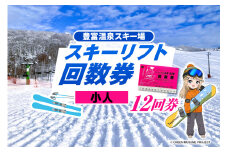 豊富温泉スキー場利用助成（12回券 小人）	