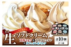 生ソフトクリーム ミルクetc3種セット【芳醇ミルク／芳醇カフェオレ／カフェオレ&ミルク】 計10個
