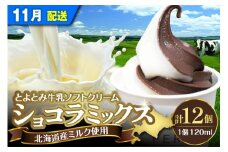 【2025年11月配送】とよとみ牛乳ソフトクリーム【ショコラミックス 120ml×12個】