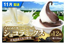 【2025年11月配送】とよとみ牛乳ソフトクリーム【ショコラミックス 120ml×12個】