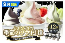 【2025年9月配送】とよとみ牛乳ソフトクリーム【季節のミックス1種類 120ml×12個】