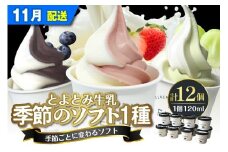 【2025年11月配送】とよとみ牛乳ソフトクリーム【季節のミックス1種類 120ml×12個】