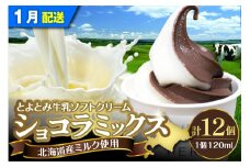【2026年1月配送】とよとみ牛乳ソフトクリーム【ショコラミックス 120ml×12個】
