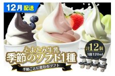 【2025年12月配送】とよとみ牛乳ソフトクリーム【季節のミックス1種類 120ml×12個】