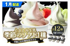 【2026年1月配送】とよとみ牛乳ソフトクリーム【季節のミックス1種類 120ml×12個】
