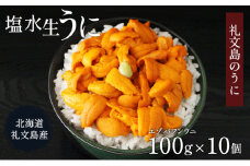 北海道 礼文島産  塩水ウニ （ エゾバフンウニ ）100g×10  生うに うに 雲丹 