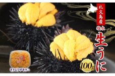 北海道 礼文島産  塩水ウニ （ キタムラサキウニ ）100g×1  生うに うに 雲丹 
