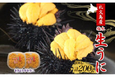 北海道 礼文島産  塩水ウニ （ キタムラサキウニ ）100g×2  生うに うに 雲丹 