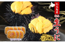 北海道 礼文島産  塩水ウニ （ キタムラサキウニ ）100g×7  生うに うに 雲丹 