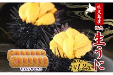 北海道 礼文島産  塩水ウニ （ キタムラサキウニ ）100g×12  生うに うに 雲丹 
