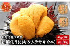 北海道 礼文島産 新鮮生うに（ キタムラサキウニ ）40g×2個 ウニ 雲丹
