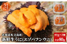 北海道 礼文島産 新鮮生うに（ エゾバフンウニ）40g×2個 ウニ 雲丹