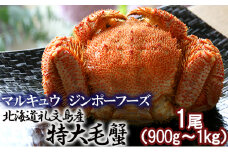 北海道礼文島産  急速冷凍特大毛蟹（900g～1kg）1尾