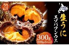 北海道 礼文島産 採れたて バフンウニ  塩水パック 100g×3  生うに 生ウニ  塩水うに