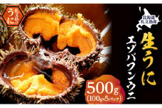 北海道 礼文島産 採れたて バフンウニ  塩水パック 100g×5  生うに 生ウニ  塩水うに