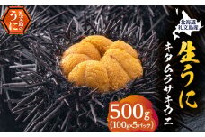 北海道 礼文島産 採れたて キタムラサキウニ 塩水パック 100g×5 生うに 生ウニ  塩水うに