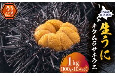 北海道 礼文島産 採れたて キタムラサキウニ 塩水パック 100g×10 生うに 生ウニ  塩水うに