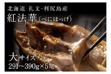 礼文島産 紅ほっけ昆布干物 大サイズ（291-390g）5枚