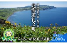 北海道礼文町 寄附のみの応援受付 1,000円コース（返礼品なし 寄附のみ 1000円）