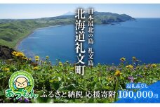 北海道礼文町 寄附のみの応援受付 100,000円コース（返礼品なし 寄附のみ 100000円）
