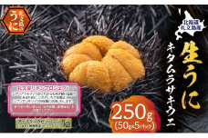 【礼文島リボンプロジェクト】北海道 礼文島産 採れたて キタムラサキウニ 塩水パック 50g×5 生うに 生ウニ 塩水うに 魚貝類 雲丹