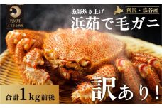 ［2025年2月出荷開始先行受付］【訳あり】利尻・宗谷産 浜茹で毛ガニ 合計1kg前後 カニ 毛ガニ  茹で蟹 魚介類