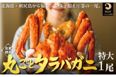 北海道 利尻島産 タラバガニ 丸ごと１尾 3.6kg以上 冷凍ボイル 国産 蟹 たらば カニ  茹で蟹 魚介類 (利尻漁業協同組合)