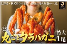 北海道 利尻島産 タラバガニ 丸ごと１尾 3.6kg以上 冷凍ボイル 国産 蟹 たらば カニ  茹で蟹 魚介類 (利尻漁業協同組合)
