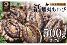 【10～12月発送受付】天然蝦夷『活』アワビ500g　利尻島産【期間限定】利尻昆布を食べて育った美味しいあわび お正月 おせち 刺身 北海道 利尻 エゾアワビ