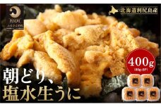 【2026年発送受付】利尻島産「朝どり」塩水生うに400g (80g×5) 天然キタムラサキウニ【6~8月発送分】｜北海道 朝獲れ 塩水 ウニ 無添加 ミョウバン不使用 生 うに 雲丹 国産 天然 利尻 キタムラサキ ムラサキ [1090021]