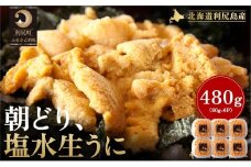 【2026年発送受付】利尻島産「朝どり」塩水生うに480g (80g×6) 天然キタムラサキウニ【6~8月発送分】｜北海道 朝獲れ 塩水 ウニ 無添加 ミョウバン不使用 生 うに 雲丹 国産 天然 利尻 キタムラサキ ムラサキ [1090022]