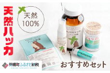 天然ハッカおすすめセット【配送不可地域：沖縄県】 ふるさと納税 人気 おすすめ ランキング ハッカ ハッカ油 天然ハッカ セット 詰め合わせ 虫よけ 清涼 スプレー 北海道 美幌町 送料無料 BHRB004