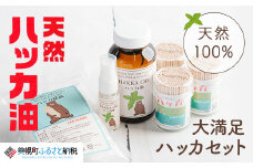 大満足ハッカセット【ハッカ油200ml+ハッカ油20mlスプレー+ハッカ結晶+ハッカ楊枝×3個】【配送不可地域：沖縄県】 ふるさと納税 人気 おすすめ ランキング ハッカ ハッカ油 天然ハッカ セット 詰め合わせ 虫よけ 清涼 スプレー 北海道 美幌町 送料無料 BHRB010