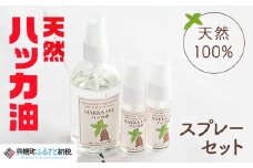 ハッカ油スプレーセット【ハッカ油100mlスプレー+ハッカ油20mlスプレー×2本】【配送不可地域：沖縄県】 ふるさと納税 人気 おすすめ ランキング ハッカ ハッカ油 天然ハッカ セット 詰め合わせ 虫よけ 清涼 スプレー 北海道 美幌町 送料無料 BHRB009
