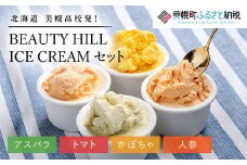 美幌高校発！ＢＥＡＵＴＹ　ＨＩＬＬ　ＩＣＥ　ＣＲＥＡＭ（アスパラ・トマト・かぼちゃ・人参）セット【配送不可地域：離島】 ふるさと納税 人気 おすすめ ランキング アイス アイスクリーム セット 詰め合わせ 野菜アイス 変わり種アイス 北海道 美幌町 送料無料 BHRC004
