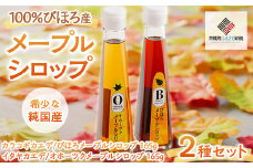 100%びほろ産「メープルシロップ」2種セット  【 ふるさと納税 人気 おすすめ ランキング メープルシロップ メープル シロップ セット スイーツ 甘い かえで 北海道 美幌町 送料無料 】 BHRG002