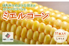 [先行受付]2025年産 スウィートコーン!「はちみつのような甘さのミエルコーン」11本【配送不可地域：離島】 【 ふるさと納税 人気 おすすめ ランキング とうもろこし コーン 甘い おいしい スイートコーン スウィートコーン 北海道 美幌町 送料無料 】 BHRG004