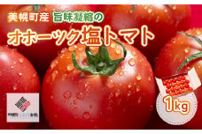 【先行受付】美幌町産・旨味凝縮のオホーツク塩トマト 約1kg ふるさと納税 人気 おすすめ ランキング トマト 塩トマト 野菜 新鮮 リコピン 健康 ヘルシー 北海道 美幌町 送料無料 BHRG006