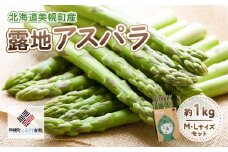 [先行受付]2025年産 露地アスパラ M・Lサイズセット 約1kg【配送不可地域：離島】【 ふるさと納税 人気 おすすめ ランキング アスパラ アスパラガス 露地 露地栽培 グリーンアスパラ 野菜 北海道 美幌町 送料無料 】 BHRG014