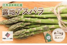 [先行受付]2025年産 露地アスパラ 2Lサイズ 約1kg【配送不可地域：離島】【 ふるさと納税 人気 おすすめ ランキング アスパラ アスパラガス 露地 露地栽培 グリーンアスパラ 野菜 北海道 美幌町 送料無料 】 BHRG015